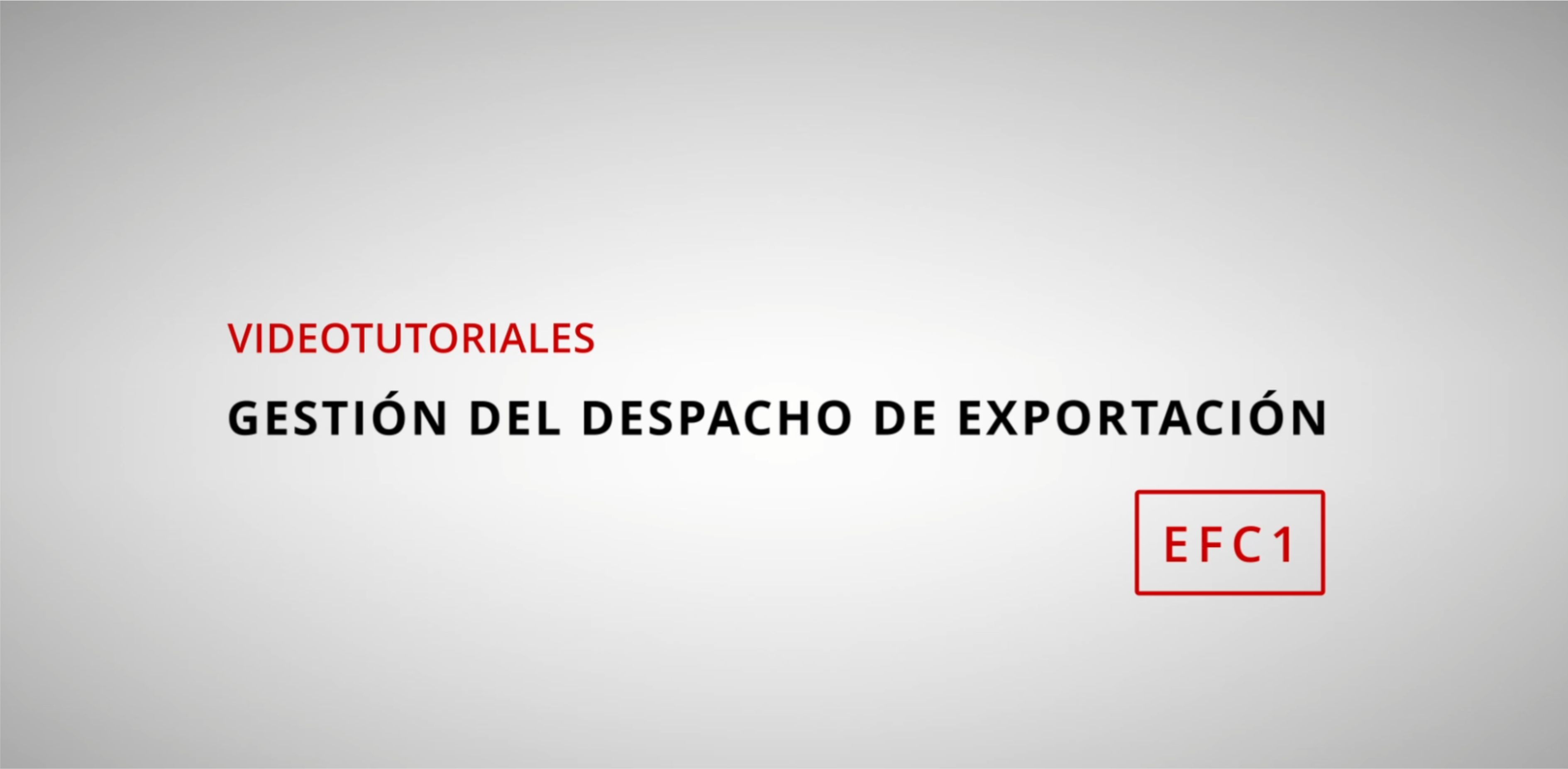 Gestion del Despacho de Exportacion - EFC1