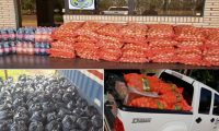 Caen 1.000 kilos de cebolla, 800 kilos de zanahoria, 150 kilos de pollo y 60 unidades de gaseosas en controles realizados en Alto Paraná y Canindeyú