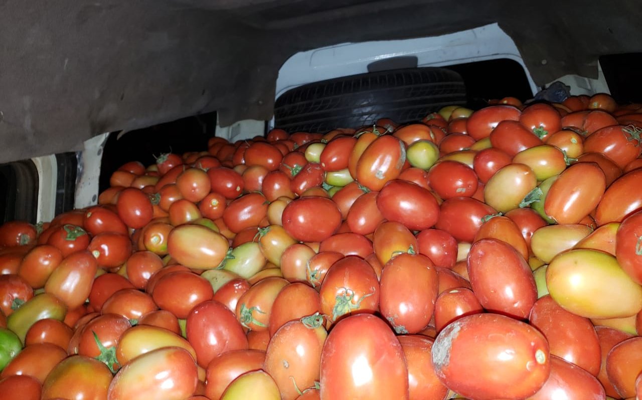 Vehículo con 2 mil kilos de tomate retienen en el puesto de Cruce Carolina