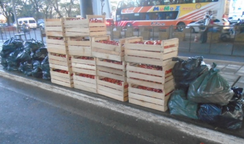 Caen 1.380 kilos de tomate y 280 kilos de locote en el Este