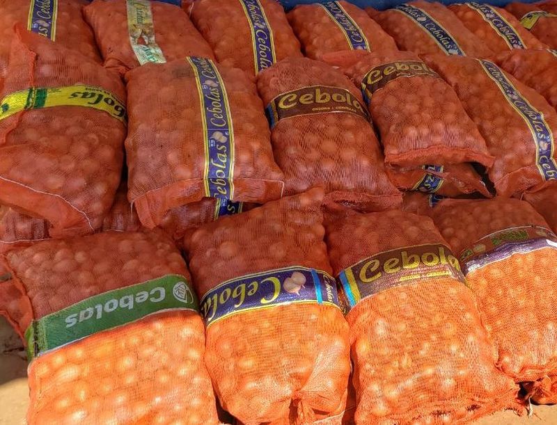 En el puesto aduanero de Trinidad decomisan 600 kilos de ceboll