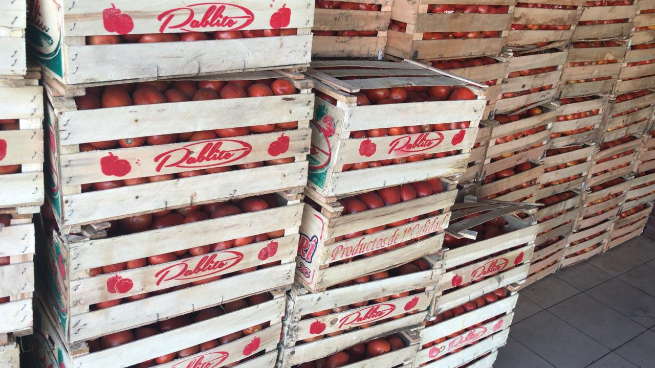 Incautan 1.540 kilos de tomate, 1.100 kilos de cebolla y 1.760 kilos de papa en Vista Alegre