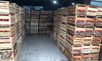 Decomisan 4.400 kilos de tomate en zonas ribereñas y Puesto de control de Vista Alegre