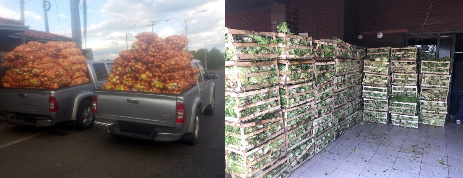 En controles realizados en zona ribereña y puesto de Vista Alegre decomisan 2.200 kilos de papa, 2.200 kilos de cebolla y 2.100 unidades de lechuga repollada