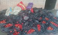 Mil kilos de tomate, 250 kilos de papa y 200 kilos de cebolla decomisan en Tavap
