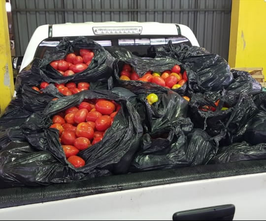 Caen 3.000 kilos de tomate en operativo móvil realizado en el Este