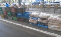 Aduana del Este incautó 1.410 kilos de tomate, 1.390 kilos de locote, 420 kilos de pollo y 310 kilos de zanahoria