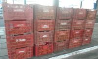 Caen 360 kilos de tomate, 660 kilos de zanahoria, 260 kilos de locote y 240 kilos de pollo en el Este