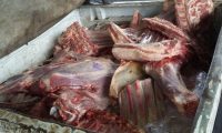 Esta mañana decomisaron vehículo con 700 kilos de carne en zona primaria de la Aduana del Este