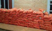 Retienen 800 kilos de cebolla en el puesto de Cruce Carolina