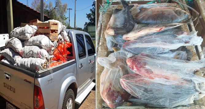 Decomisan 580 kilos de papa, 300 kilos de cebolla y 60 kilos de tomate en Trinidad y 150 kilos de pescado en Chirigüelo