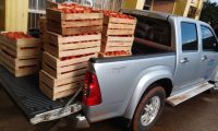 Operativo móvil realizado en Itapúa decomisó 200 kilos de tomate y 200 kilos de papa