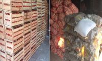En operativos móviles realizados en zona ribereña decomisan 1.980 kilos de tomate, 1.000 kilos de papa y 480 kilos de ajo