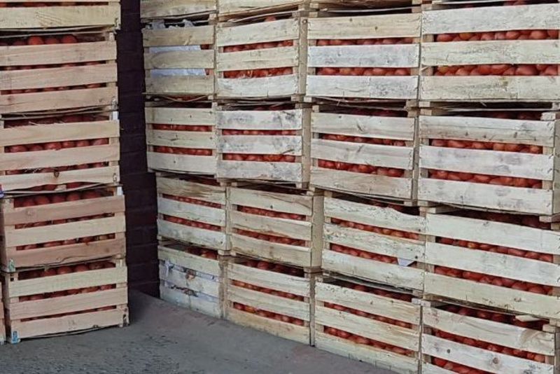Retienen 924 kilos de tomate en Vista Alegre