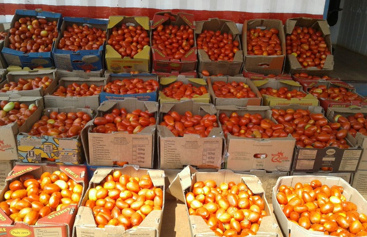 Caen 1.500 kilos de tomate en el puesto del Kilómetro 49 del Este