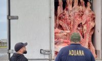 Incautan camión con 11.450 kilos de carne en Puente Remanso