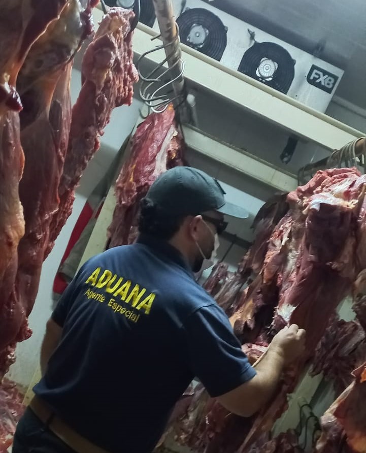 Funcionarios de la DNA decomisan más de 7.000 kilos de carne de caballo en Luque