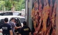 Dos camiones y 32.000 kilos de carne decomisan  durante operativo conjunto realizado en Limpio