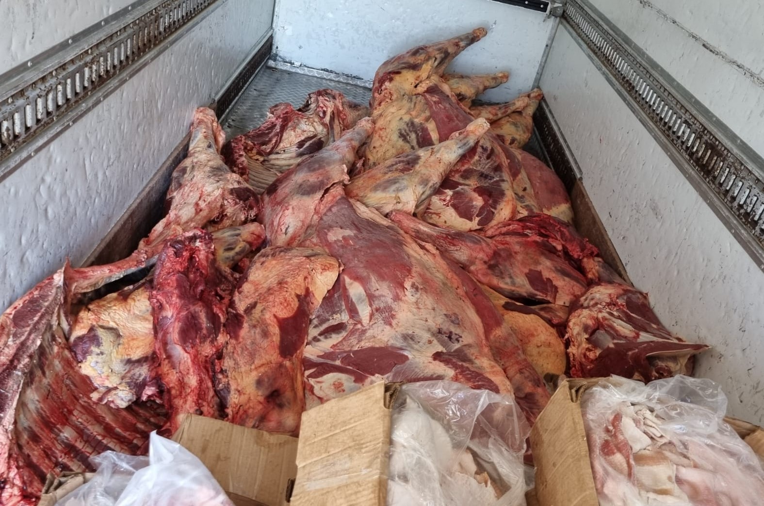 Incautan vehículo con 978 kilos de carne vacuna y 500 kilos de piel de cerdo en Nanawa