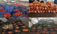 En un solo día la DNIT incautó 5.260 kilos de frutihortícolas en Ciudad del Este