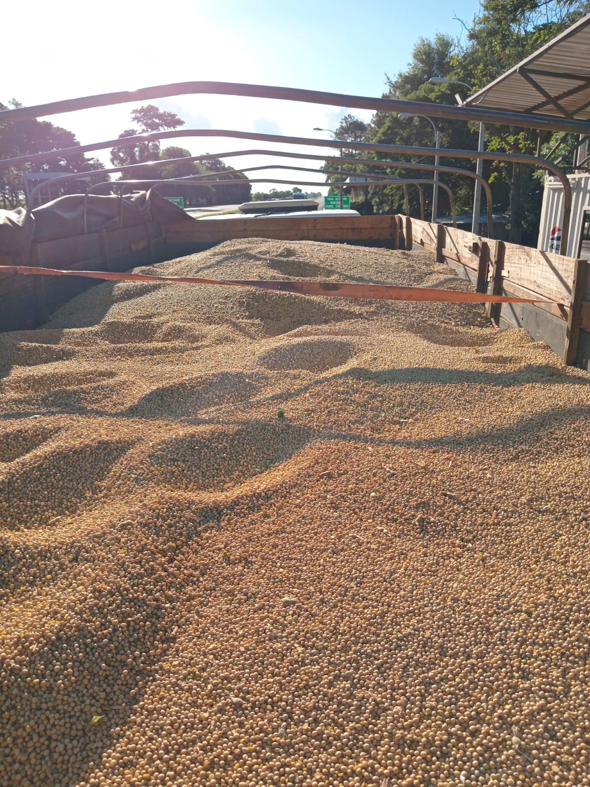 La DNIT incautó 10 toneladas de soja debido a no contar con la debida documentación respaldatoria